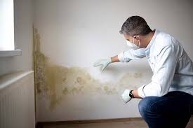 Environmental Consulting for Mold Prevention in Baldwin Park, CA